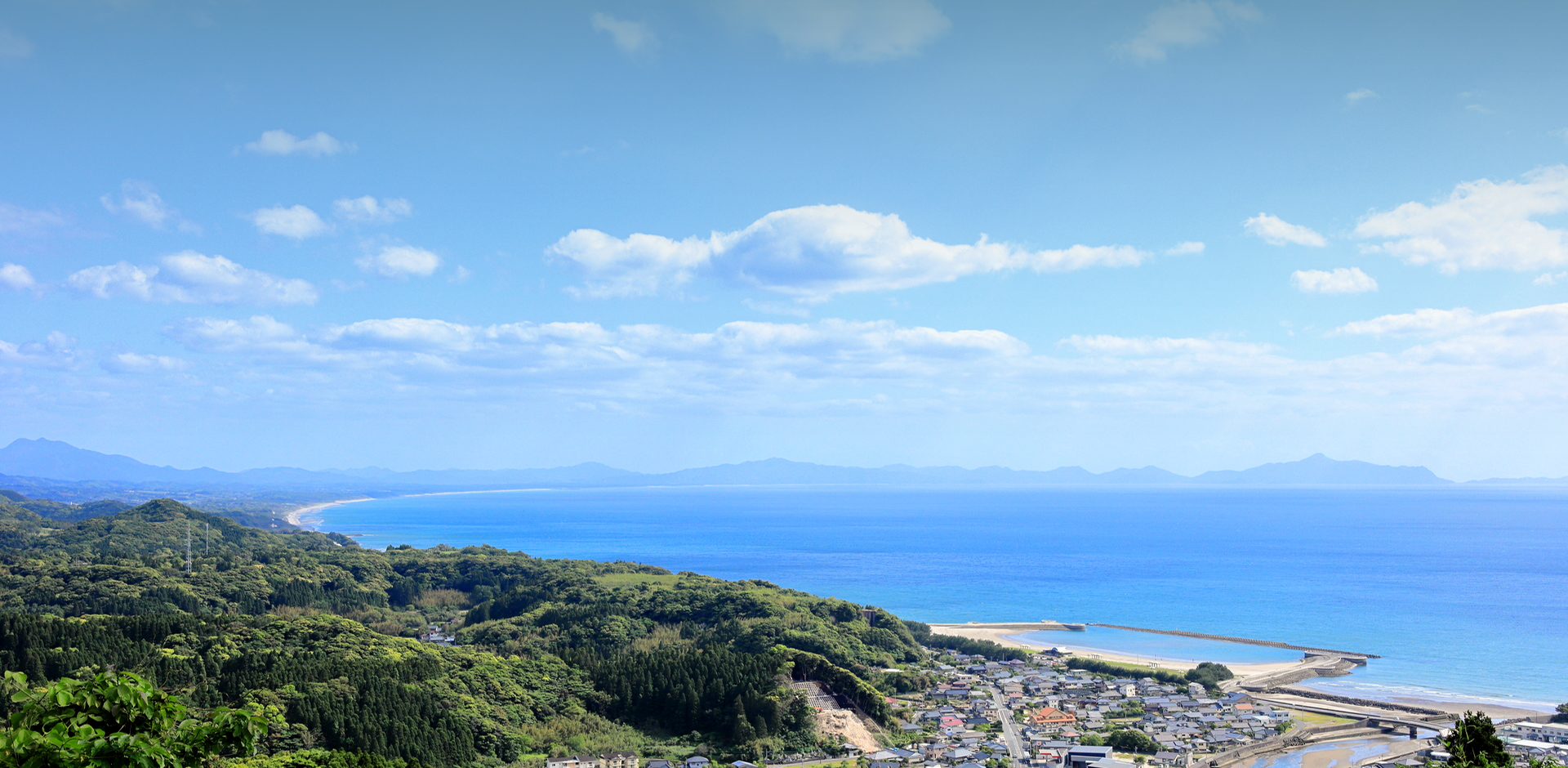 鹿児島農水株式会社