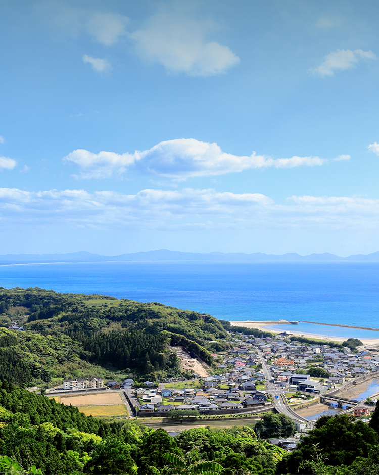 鹿児島農水株式会社