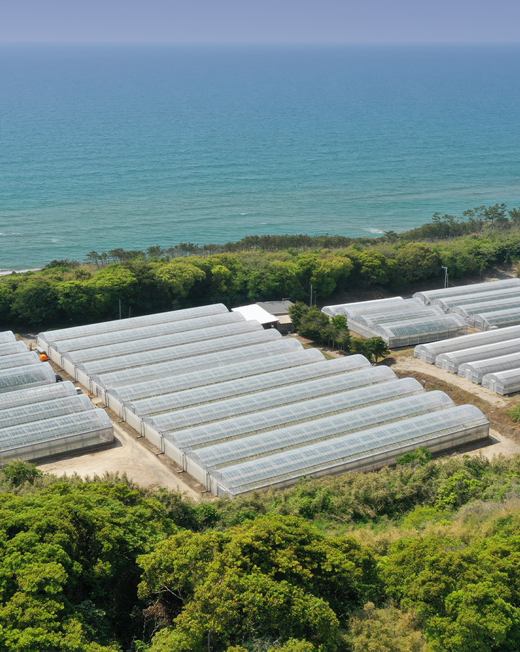 鹿児島農水株式会社